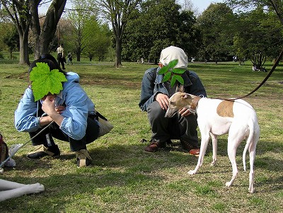 07042112-2.jpg