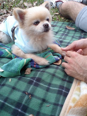 07042114-1.jpg