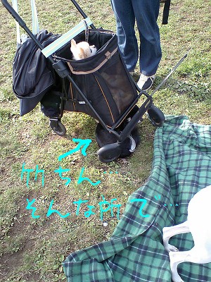 07042114-2.jpg