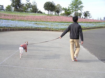 07042115-2.jpg