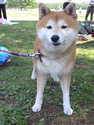 07050404.jpg