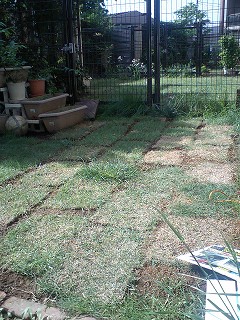 07051401.jpg