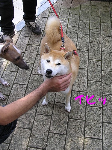 07060203.jpg