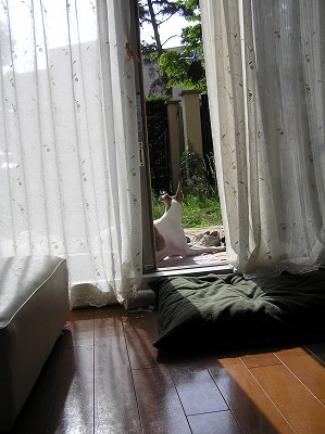 07060403.jpg