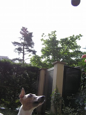 07060405.jpg