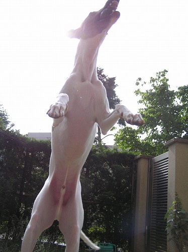 07060406.jpg
