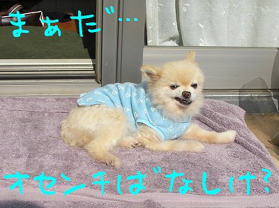 07060608.jpg