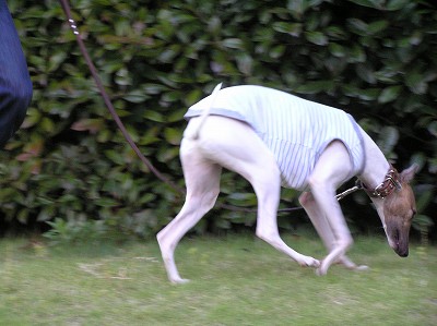 07060706.jpg