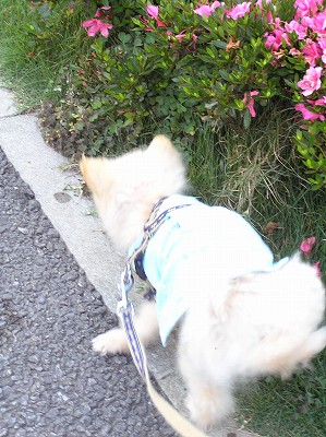 07060709.jpg
