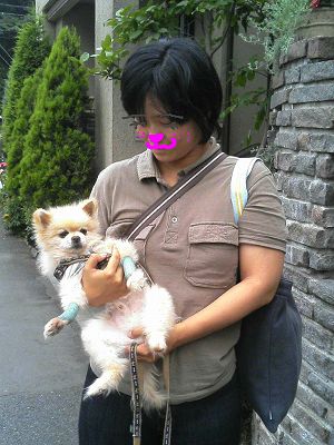 07062303u.jpg