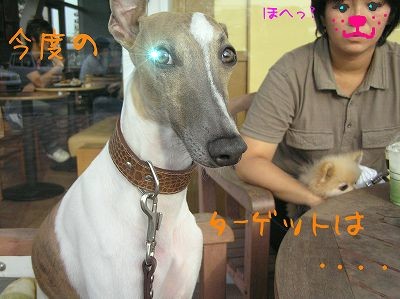 07062309.jpg