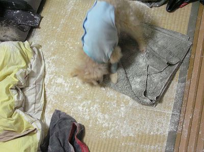 07070205.jpg