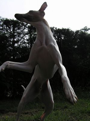 07071204.jpg