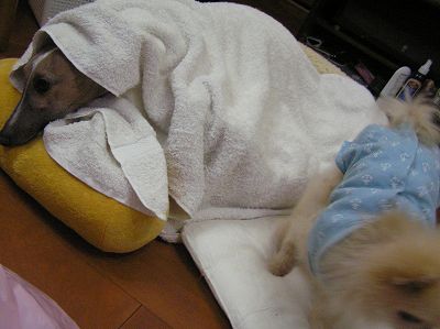 07071503.jpg