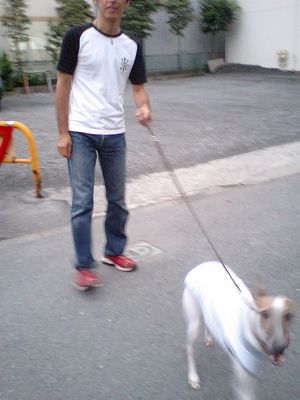 07071903.jpg