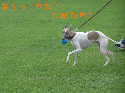 07072105.jpg