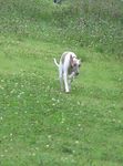 07072110.jpg