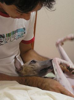 07072203.jpg