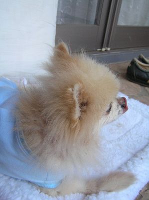 07072506.jpg
