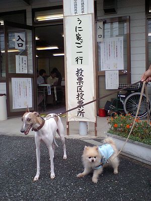 07072902.jpg