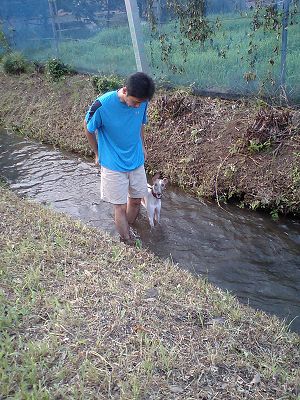 07080401.jpg