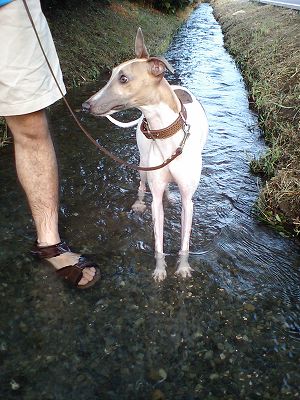 07080403.jpg