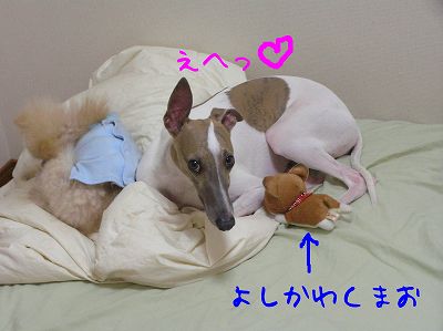 07080601.jpg