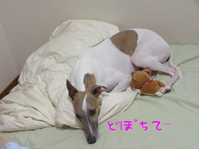 07080603.jpg