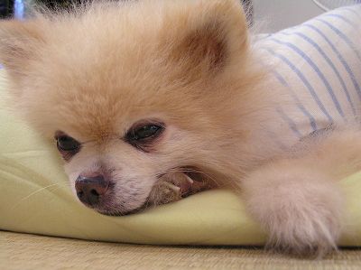 07082004.jpg