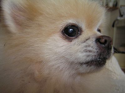 07082403.jpg
