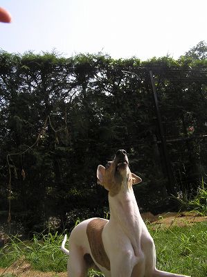 07082501.jpg