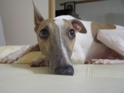 07082504.jpg