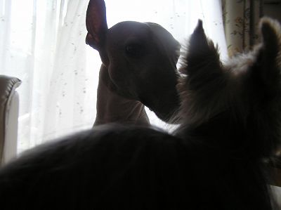 07082602.jpg