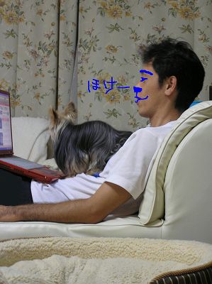 07082802.jpg