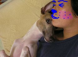 07090104.jpg