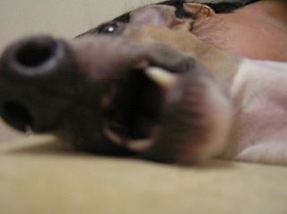 07090107.jpg