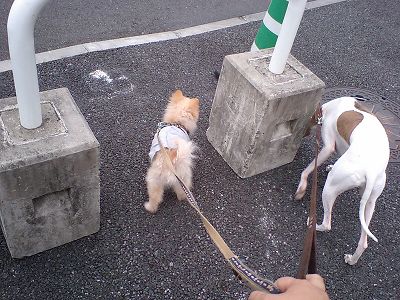 07090202.jpg