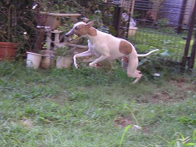 07090802.jpg