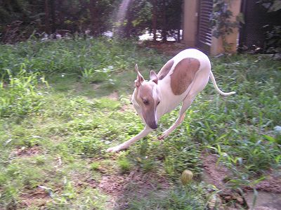 07090803.jpg