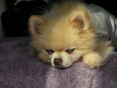 07090806.jpg