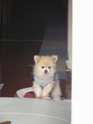 070908k01.gif