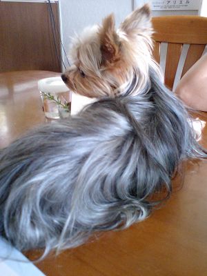 07090901.jpg