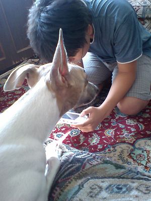07090902.jpg