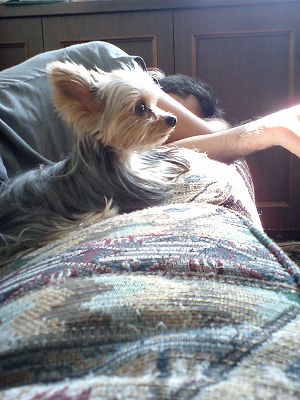 07090904.jpg