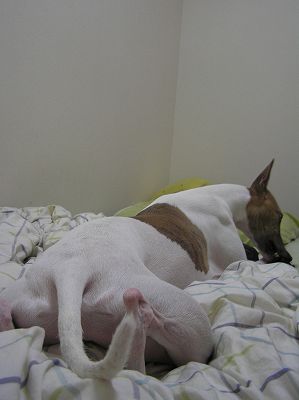 07091101.jpg
