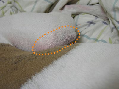 07091105.jpg