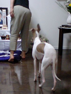 07091403.jpg