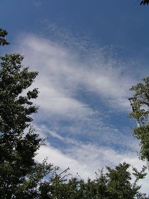 07091601.jpg