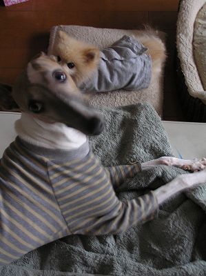 07092303.jpg