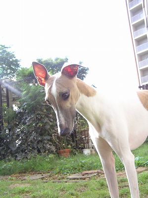 07092501.jpg